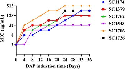 Acquisition of Daptomycin Resistance by Enterococcus faecium Confers Collateral Sensitivity to Glycopeptides